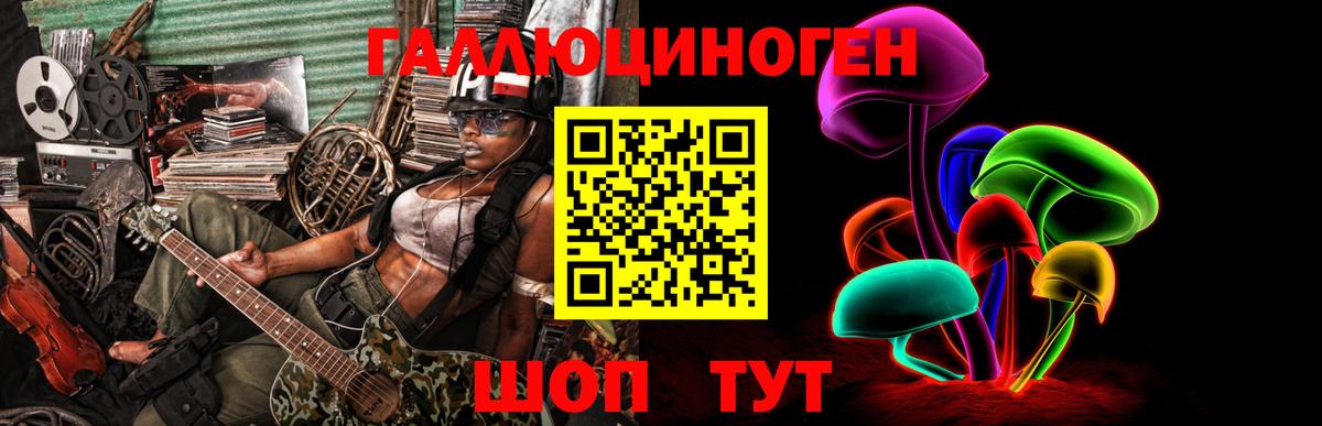 Вязники  где купить наркотик  Псилоцибиновые грибы Psilocybe  Вход с VPN  Псилоцибиновые грибы Psilocybe 